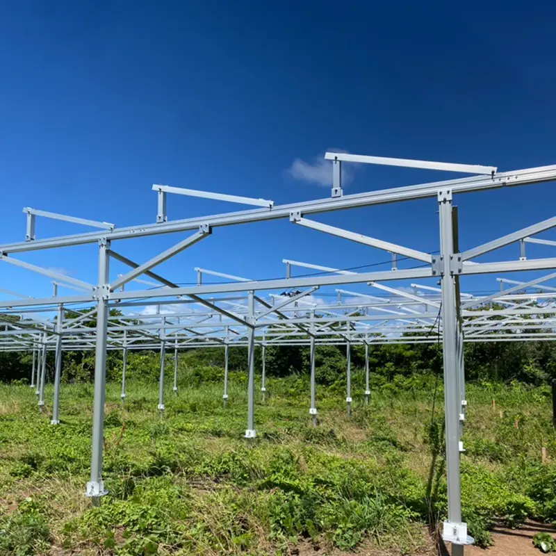 Solar farms: future stars of green energy